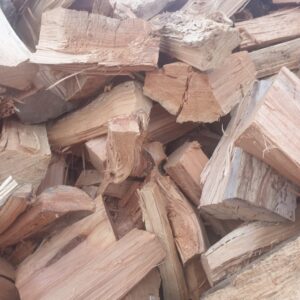Macrocarpa