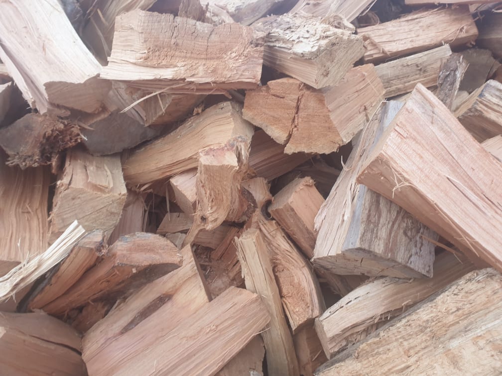 Macrocarpa